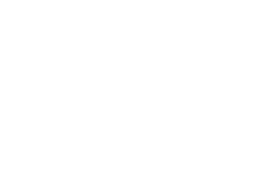 Hotel and  Restaurant Grüner Baum in Zell am See